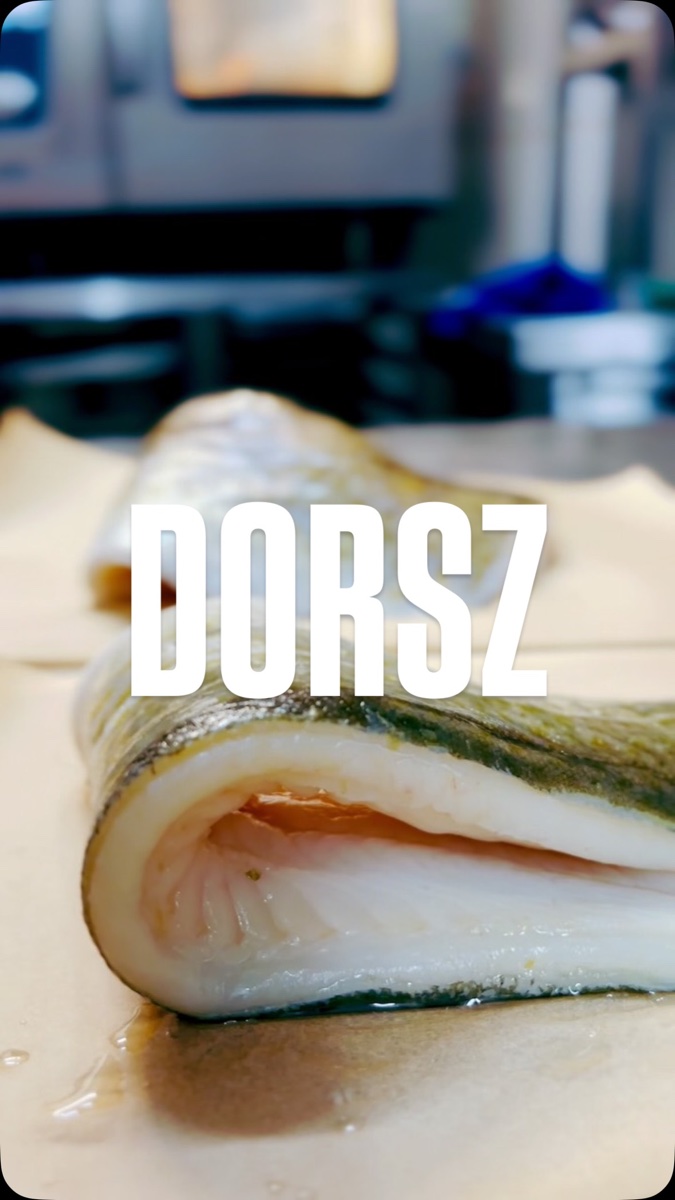 Filet z dorsza w sosie kurkowym